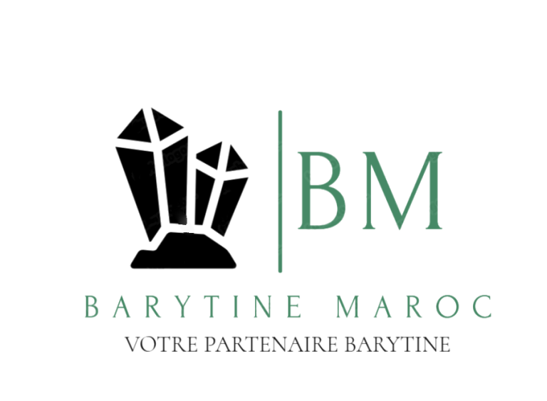 logo entreprise barytine maroc